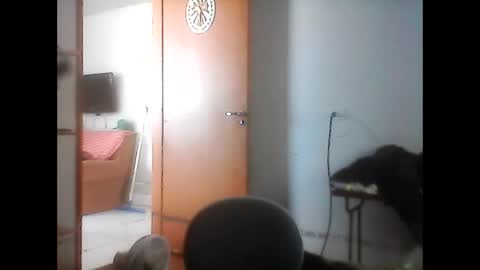 kasadocarente online show from 01/17/26, 04:22