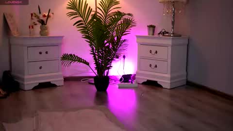 Kassidy online show from 02/11/26, 11:04