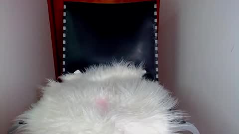 katalinaferreirax online show from 12/17/24, 08:54