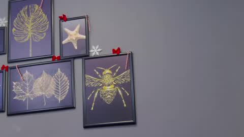 Snapshot of katewalker_ chatting on 12/17/24, 12:23 Kate online show from 12/17/24, 12:23