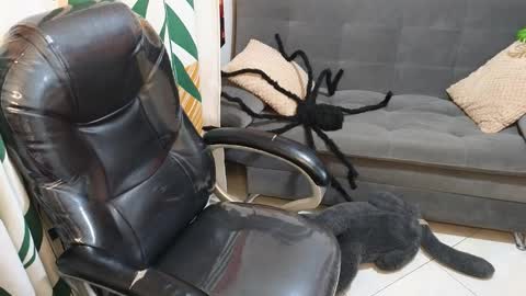 kathie_lozada online show from 10/28/25, 06:17