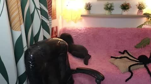 kathie_lozada online show from 10/31/25, 06:03