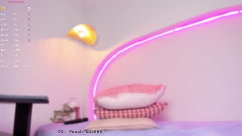 Katy  IGPeach kat666 online show from 01/22/25, 03:40