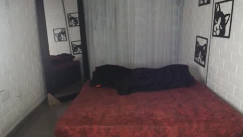 kattia online show from 02/01/25, 12:40