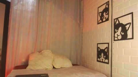 kattia online show from 02/18/25, 09:31