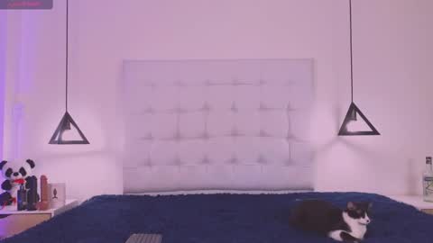 Cattleya stone online show from 02/18/25, 04:04