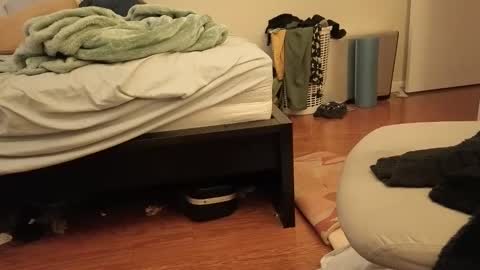 KayisHard online show from 12/29/24, 09:09