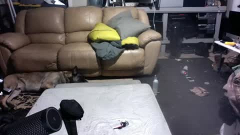 Dexter online show from 07/14/26, 09:25