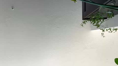 Snapshot of keepquietj chatting on 01/17/25, 07:38 keepquietj online show from 01/17/25, 07:38