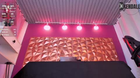 Snapshot of kendall23_ chatting on 01/19/25, 10:28 Kendall online show from 01/19/25, 10:28