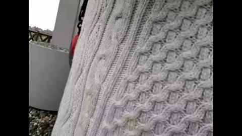 Snapshot of kenhiking chatting on 02/19/26, 05:25 kenhiking online show from 02/19/26, 05:25