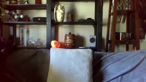 Ken Kuddles online show from 01/17/25, 10:12