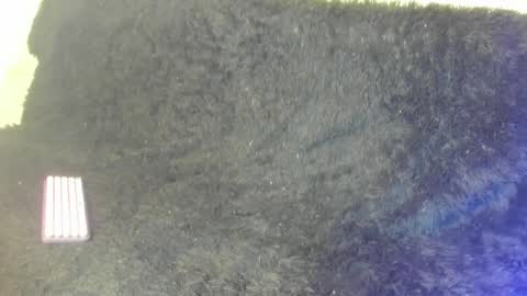 Kerly online show from 04/29/26, 07:53