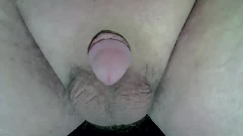 maggot online show from 04/05/26, 11:02