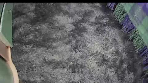 Snapshot of keylasmmith chatting on 04/18/26, 04:22 Keyla online show from 04/18/26, 04:22