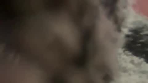 kg1726860 online show from 10/11/25, 06:50