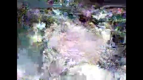 Snapshot of ki389253 chatting on 03/04/26, 02:17 ki389253 online show from 03/04/26, 02:17