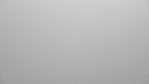Kiara  online show from 06/24/26, 03:16