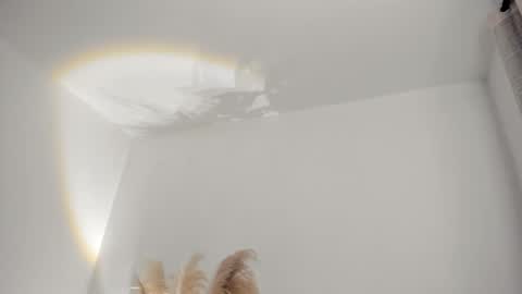 Kim Murphy online show from 02/19/26, 11:28