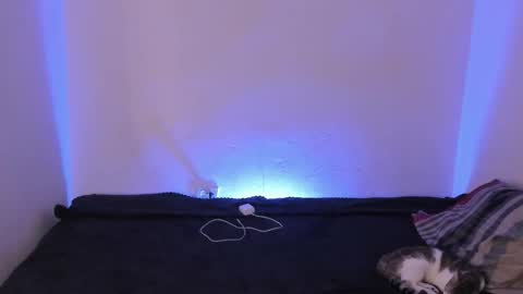 Kim online show from 12/16/25, 09:47