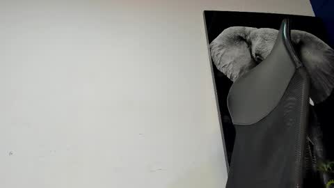 Angel Falconer online show from 11/04/25, 02:10