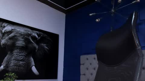 Angel Falconer online show from 02/01/26, 01:59