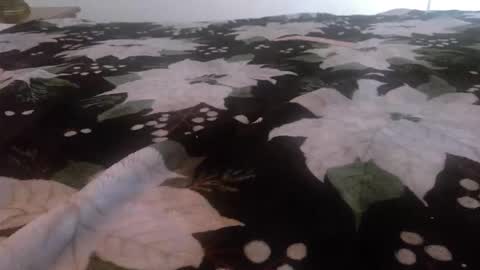 Kinky K80 online show from 11/24/25, 02:50