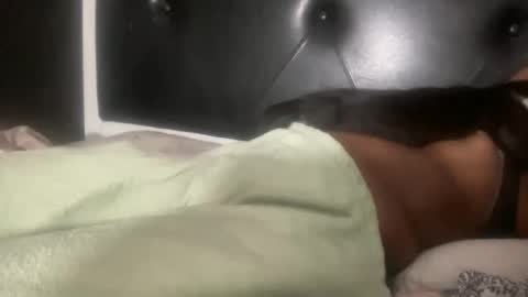 Bunniii online show from 02/03/25, 05:40