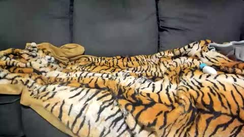 Kinky online show from 01/07/26, 09:12