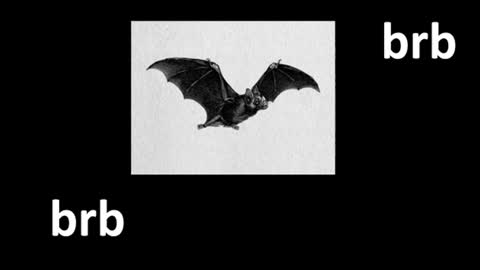 meow online show from 06/29/26, 12:38