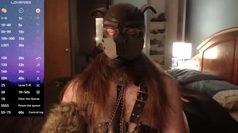 kinkywolf87 online show from 12/03/24, 07:21