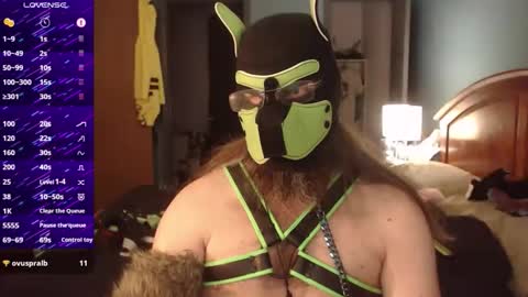kinkywolf87 online show from 09/24/25, 06:44