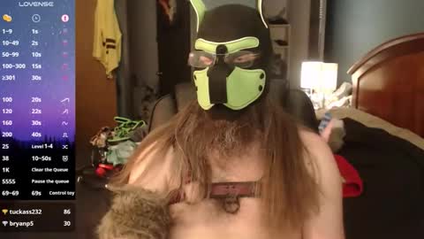 Snapshot of kinkywolf87 chatting on 05/20/26, 11:00 kinkywolf87 online show from 05/20/26, 11:00