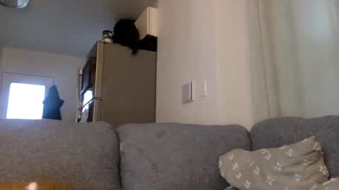 Snapshot of kinnkybwc chatting on 03/29/26, 11:16 kinnkybwc online show from 03/29/26, 11:16