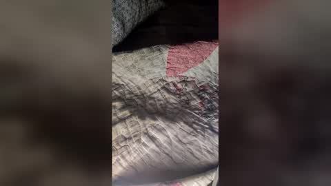 St1r4life online show from 03/19/26, 10:52