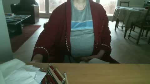 kisslog1 online show from 12/29/24, 08:22