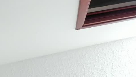 Snapshot of kissmesara chatting on 02/27/26, 12:16 Sara online show from 02/27/26, 12:16