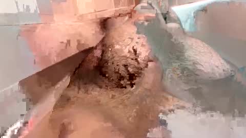 kitkatmac online show from 01/03/25, 07:29