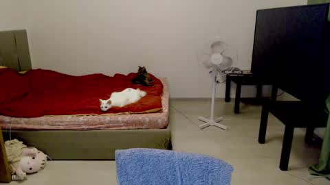 Jennyblonde and Emmabrunette online show from 02/10/25, 12:41