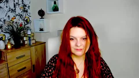 Kitten online show from 05/08/26, 06:19