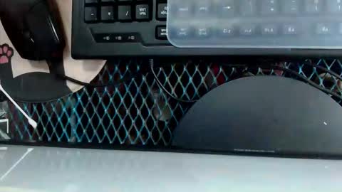 Snapshot of kittlyn chatting on 09/16/25, 12:55 kittlyn online show from 09/16/25, 12:55