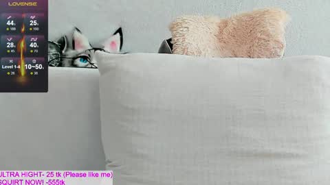 Kitty online show from 04/14/26, 10:54