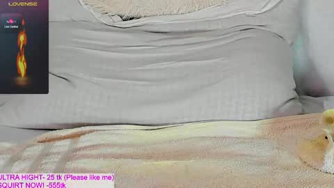 Snapshot of kitty1grey chatting on 05/11/26, 02:45 Kitty online show from 05/11/26, 02:45