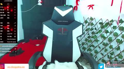 Snapshot of kitty_vaal chatting on 02/13/25, 08:06 kitty_vaal online show from 02/13/25, 08:06