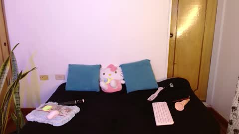 Snapshot of kittycatw chatting on 11/05/25, 05:02 LAURA help me reach 100likes online show from 11/05/25, 05:02