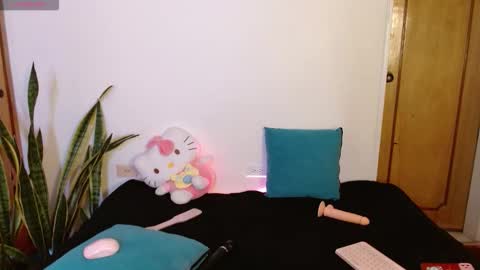 Snapshot of kittycatw chatting on 12/17/25, 09:21 LAURA help me reach 100likes online show from 12/17/25, 09:21