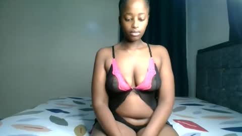 Kittypettite online show from 03/12/26, 08:53