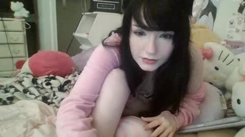 kittypills online show from 06/08/26, 05:30