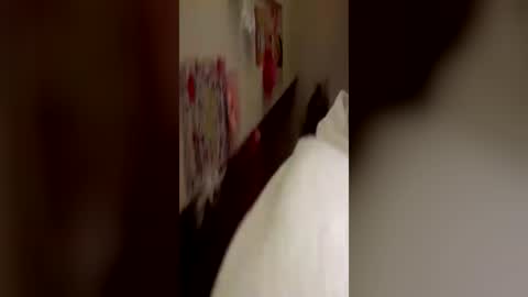 Kitty  Sophie    online show from 06/24/26, 02:54