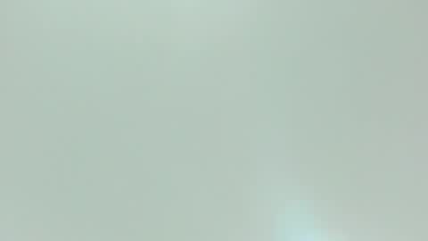 Kiwi online show from 02/10/26, 11:58